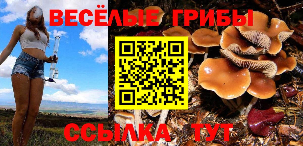 Галлюциногенные грибы Magic Shrooms  Вход с VPN  цена   Топки 
